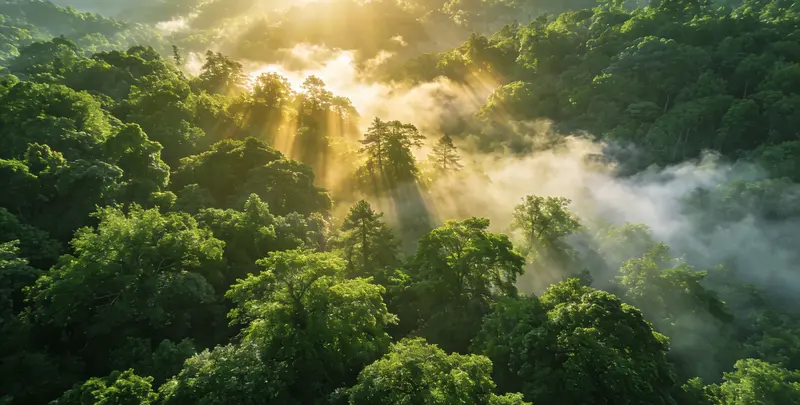 广安肺癌靶向120基因检测（组织）图片1